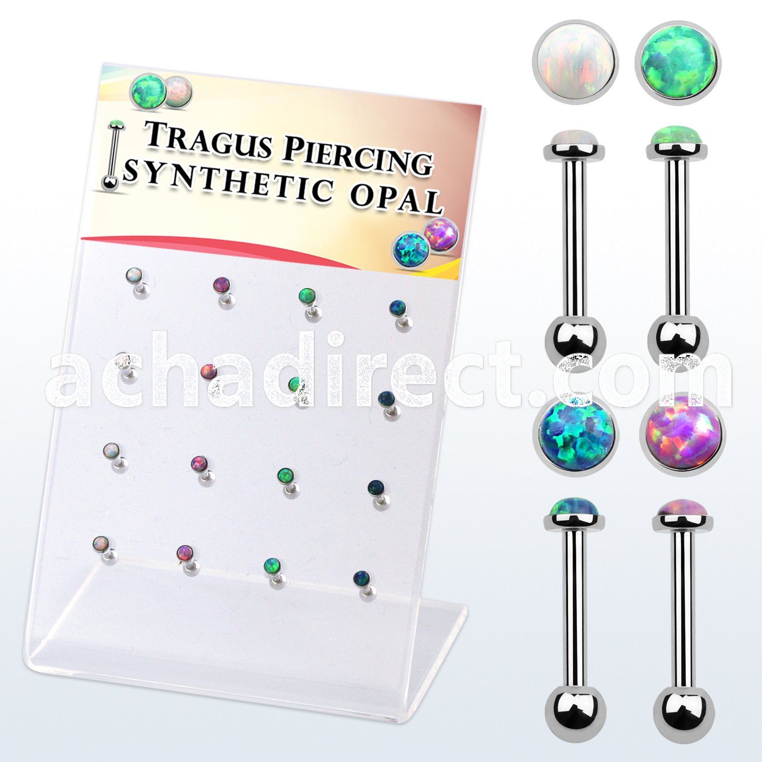 dacb223 display w steel tragus barbells w with a synthetic top