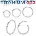 usgsh41 titanium hinged segment ring 16g pyramids side