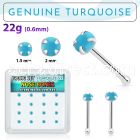 b16pge7 box w 16 silver nose bones w 2mm round turquoise stone