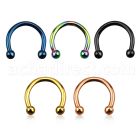 cbetb25 anodized 316l steel circular barbell with 2 5mm ball