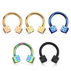 cbtdi anodized 316l steel circular barbell w 4mm dice