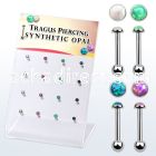 dacb223 display w steel tragus barbells w with a synthetic top