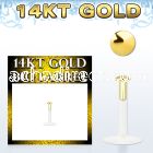 gbird bioflex labret with push in 14kt gold half ball top