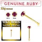 gnbge5 14kt gold nose bone with a 2mm prong set ruby stone