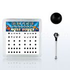 nbkbbx2 box w silver nose bones, w 2mm black plated ball tops