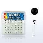 nbkbbx box of silver nose bones w 1 5mm black plated ball tops