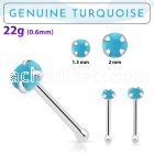 nbpge7 925 silver nose bone w turquoise