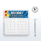nbsv2bx box of silver nose bones with 2mm silver ball top