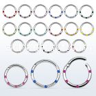 segh16j 316l steel hinged segment ring with crystals