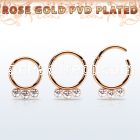 seghr16f rose gold steel hinged segment ring 16g  w crystals