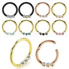 seght16e anodized steel hinged segment ring 16g w small crystals