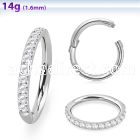 sgshb10 steel hinged segment ring 14g outward cnc cz