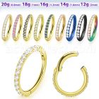 sgtsh10 anodized 316l steel hinged segment ring cz stones