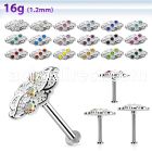 tlb40 steel tragus labret w a leaved shaped upper part