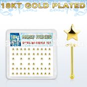 18bxvsar box w gold plated silver nose bones w star top