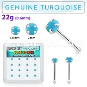 b16pge7 box w 16 silver nose bones w 2mm round turquoise stone