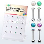 dacb223 display w steel tragus barbells w with a synthetic top