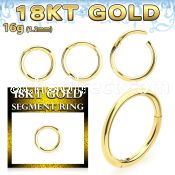 ggsegh16 18k gold hinged segment ring 16g