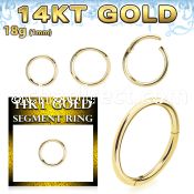 gsegh18 14k gold hinged segment ring 18g