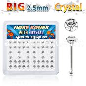 nb19cx box of silver nose bones w big 2 5mm clear crystal tops