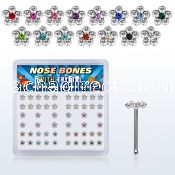 nbflbxs2 box of silver nose bones w flower with center crystal