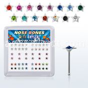 nbsarbxm box of silver nose bones with star w assorted crystal
