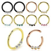 seght16e anodized steel hinged segment ring 16g w small crystals