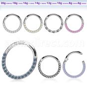 sgsh11 316l steel hinged segment ring cz stones at side