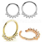 sgtsh29 pvd plated steel hinged segment ring facing cnc cz