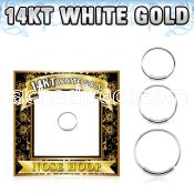 solid 14k white gold endless nose hoop, 22g (0.6mm)