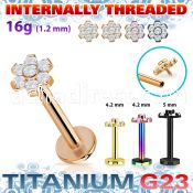utlbin10 pvd plated titanium labret 16g flower cz internal