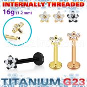 utlbin54 pvd plated titanium labret flower cz internal