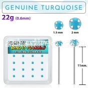 y16pge7 box w bend it silver nose studs w 2mm round turquoise