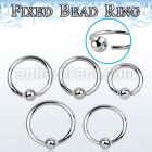 bedr16 surgical steel fixed bead ring, 16g (1.2mm) w a 3mm ball
