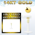 gbird bioflex labret with push in 14kt gold half ball top