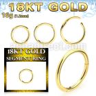 ggsegh16 18k gold hinged segment ring 16g