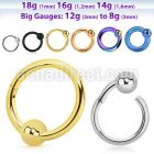 hbcrb pvd plated steel hinged ball closure ring 18g