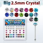 nb19mx box of silver nose bones with big 2 5mm crystal tops