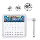 nbbxmc2 silver nose bones clear