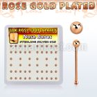 nbxrsb2 box w rose gold plated silver nose bones w 2mm ball top