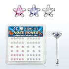 nbzsm box of silver nose bones with assorted color prong cz