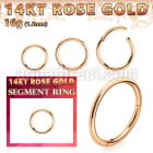 rsegh16 14k rose gold hinged segment ring 16g