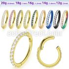 sgtsh10 anodized 316l steel hinged segment ring cz stones