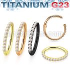 usgsh10opt pvd titanium hinged segment ring 16g outward opal