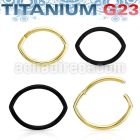 usgsh39t pvd plated titanium hinged segment ring 16g oval