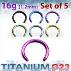 xutcb16 set of 5mm anodized titanium g23 circular barbell post
