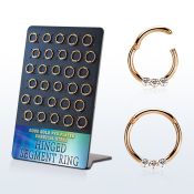 brsegh19 display 30 aro segmento bisagras acero 316l pvd oro rosa cristal claros al por mayor