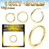 ggsegh16 18k gold hinged segment ring 16g