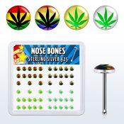 nblgx1 caja display piercing nariz hueso plata esterlina 925 0 6mm disenos variados logos marihuana distribuidor mayorista