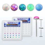 nyo25 box w 36 silver bend it nose studs w 2.5mm opals glued
